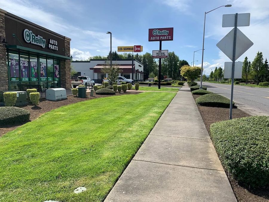 Commercial lawn maintenance showing manicured grounds and sidewalk