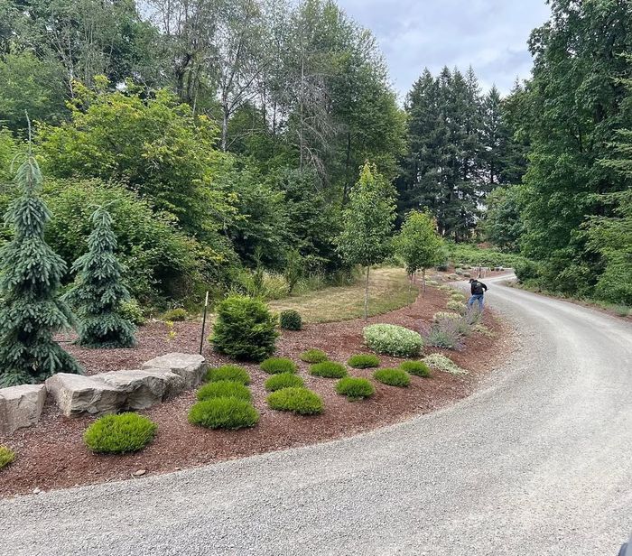 Curved driveway with mulch beds, shrubs, and boulders