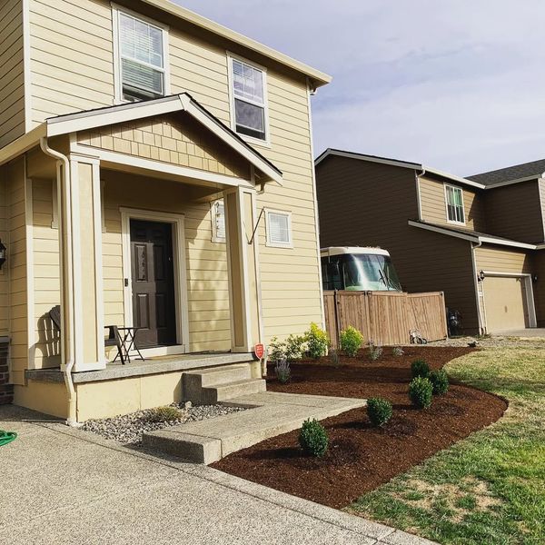 Residential front yard with fresh mulch and new shrubs